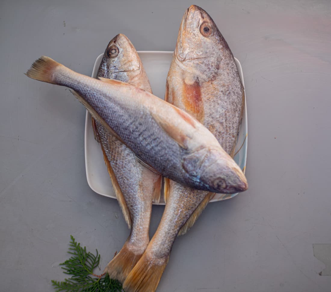 Cassava Fish