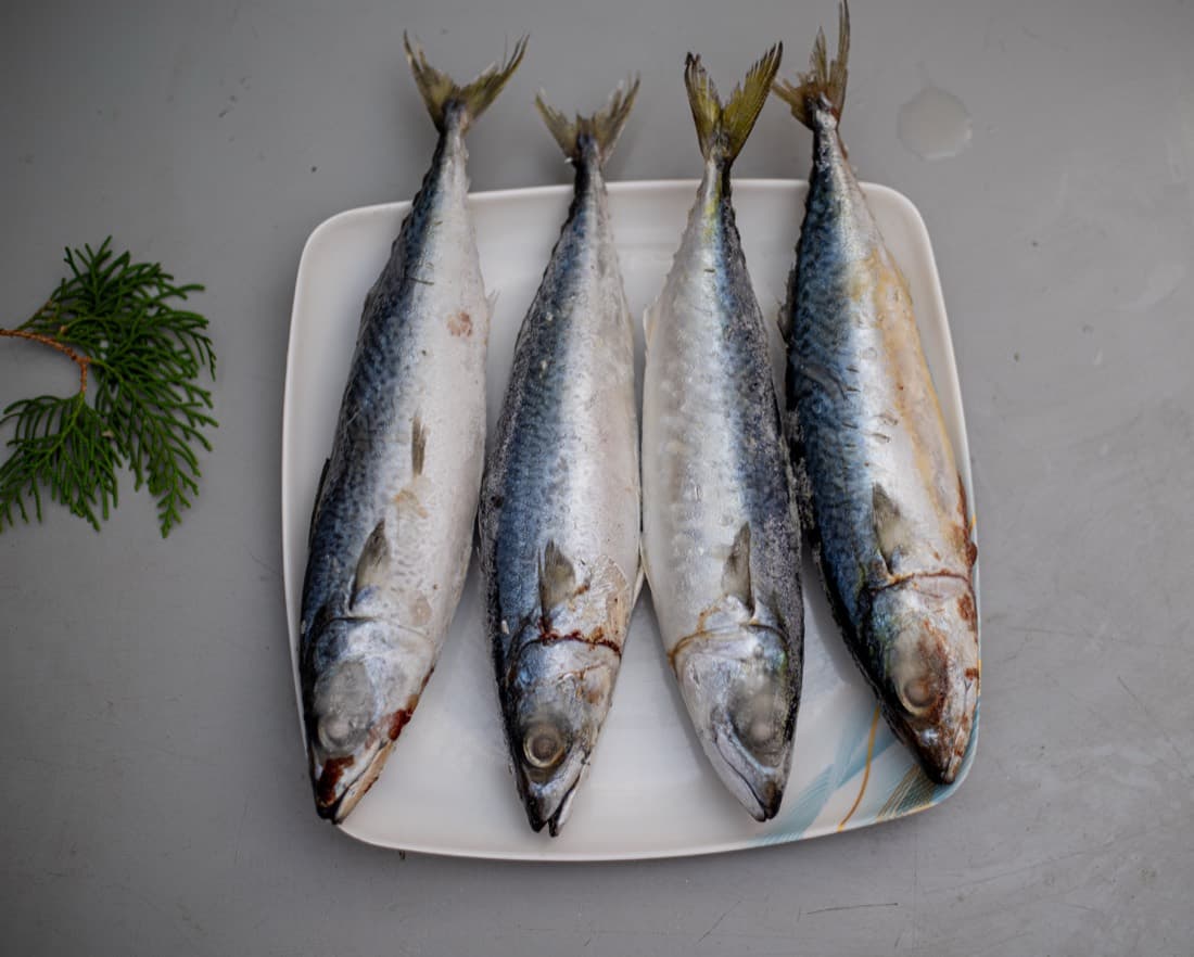 Foreign Salmon