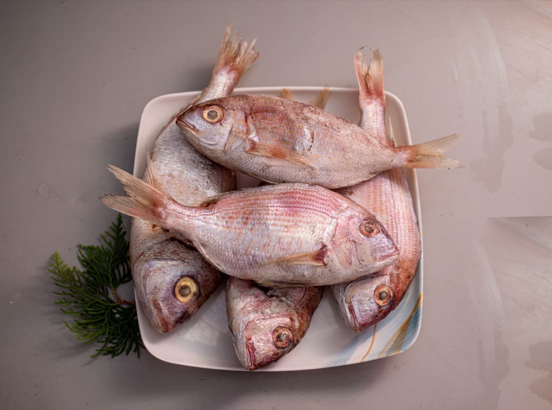 Red Fish
